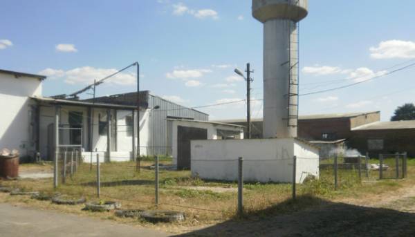 Фонд державного майна виставляє на продаж виноробне підприємство на Одещині.