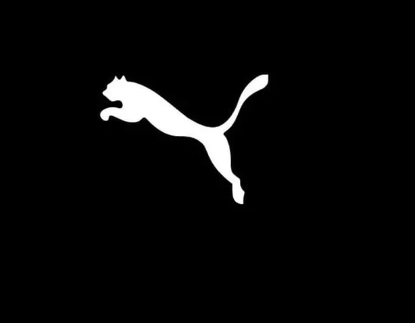 Ракетою було зруйновано логістичний центр Puma, можливий брак