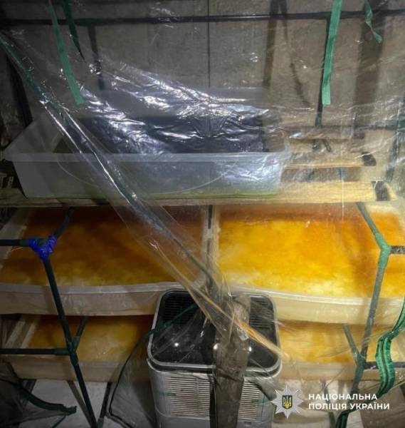 Вилучено наркотиків на 540 мільйонів гривень: завершено масштабну спецоперацію «Рубікон» в Україні 12
