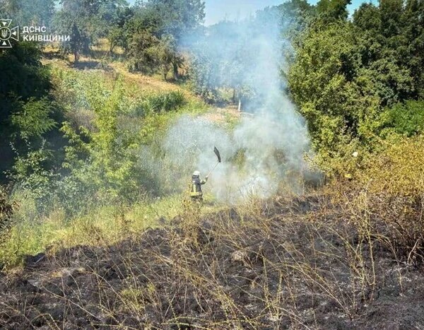 У Київській області введено найвищий ступінь пожежної небезпеки