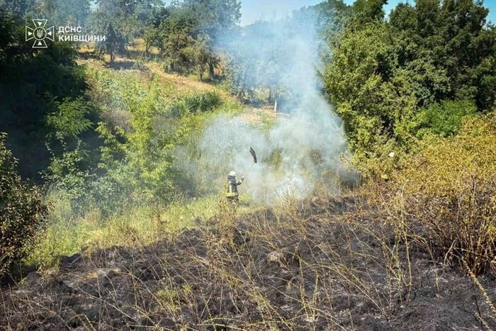 На Київщині оголошено надзвичайний рівень пожежної небезпеки 