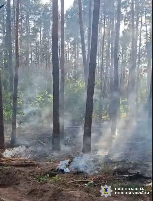 Falling debris caused dry grass and trees to catch fire in the forest strip