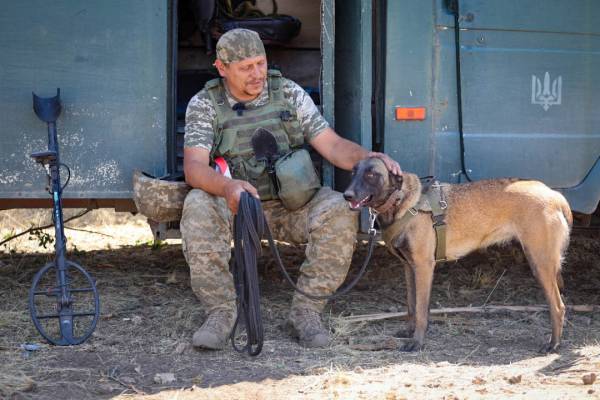З початку року фахівці-кінологи зі своїми чотирилапими помічниками обстежили близько 230 гектарів площ. 12 З початку року фахівці-кінологи зі своїми чотирилапими помічниками обстежили близько 230 гектарів площ. 12