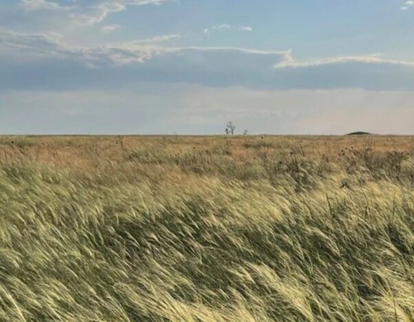 Головна 114 «Справжній степ»: у Києві покажуть виставку в темряві