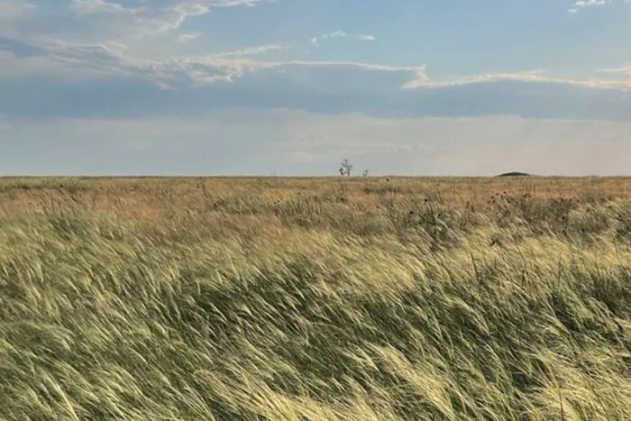 Головна 105 «Справжній степ»: у Києві покажуть виставку в темряві