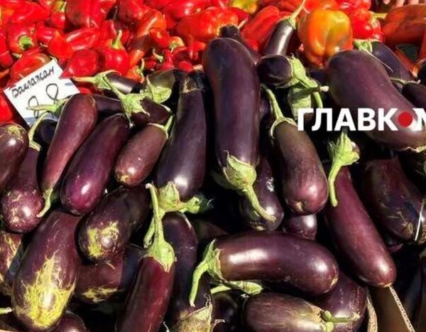 У Києві 25-30 серпня пройдуть сезонні ярмарки продовольчих товарів (місця проведення)