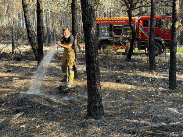 Українські пожежники вирушили до Франції для боротьби з великою лісовою пожежею 10 Українські пожежники вирушили до Франції для боротьби з великою лісовою пожежею 10
