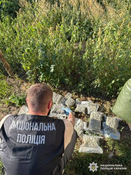 Вилучено наркотиків на 540 мільйонів гривень: завершено масштабну спецоперацію «Рубікон» в Україні 14