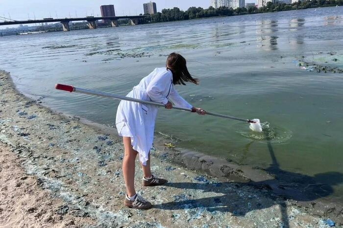 «Цвітіння» Дніпра: столичні фахівці відібрали проби води та пояснили причини явища