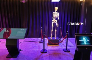 «Людське тіло». У столиці запрацювала велика інтерактивна експозиція (фоторепортаж) 49