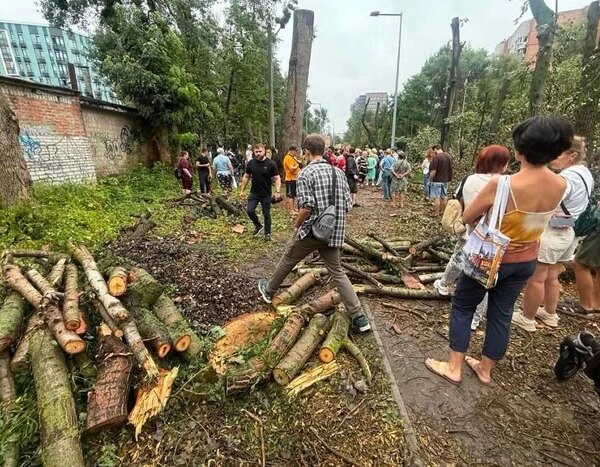 «Альтернативного шляху не існує». Місцева влада пояснила, чому дерева прибрали задля теплотраси на Теремках