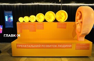 «Людське тіло». У столиці запрацювала велика інтерактивна експозиція (фоторепортаж) 41