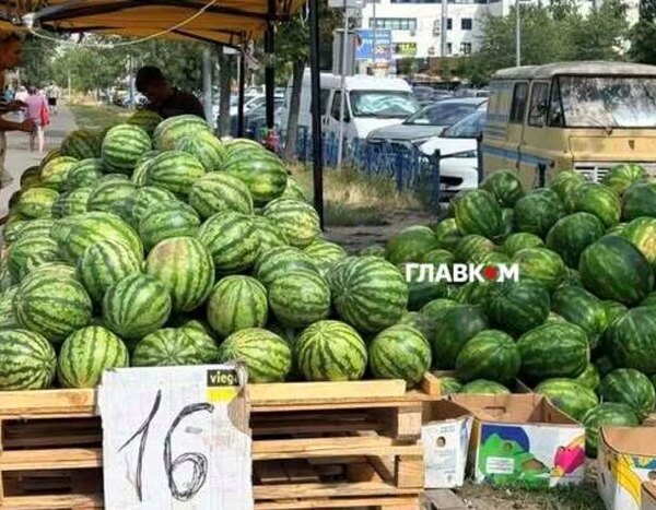 Головна 101 Продуктові ярмарки в Києві пройдуть 22-23 серпня: місця проведення