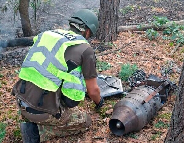 Головна 117 В Голосіївському районі через уламки дрона виникла лісова пожежа