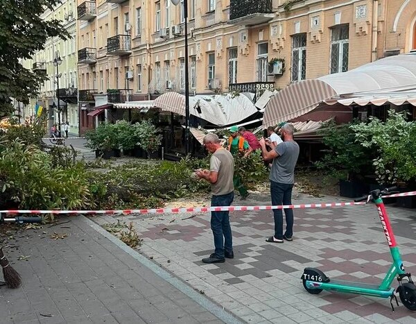 На літній майданчик популярного столичного закладу впало дерево (фото)