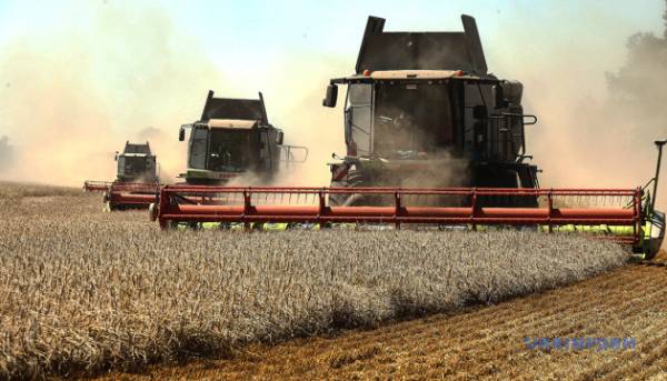 В Україні завершено збір ранніх зернових культур – зібрано 31,7 мільйона тонн зерна