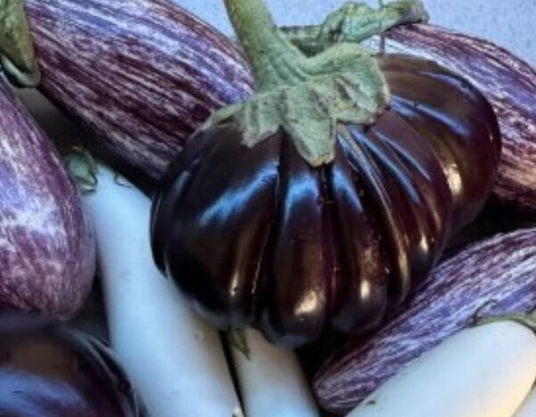 Наприкінці тижня, 29-30 серпня, у столиці пройдуть продуктові ярмарки (місця проведення)