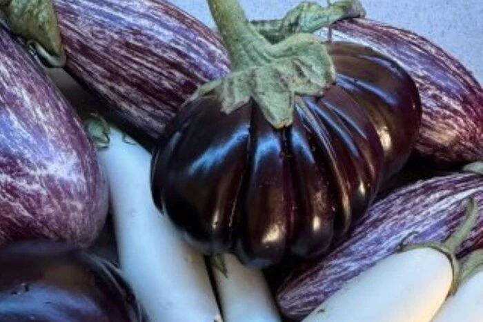 Наприкінці тижня, 29-30 серпня, у столиці пройдуть продуктові ярмарки (місця проведення) 14