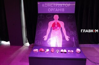 «Людське тіло». У столиці запрацювала велика інтерактивна експозиція (фоторепортаж) 37