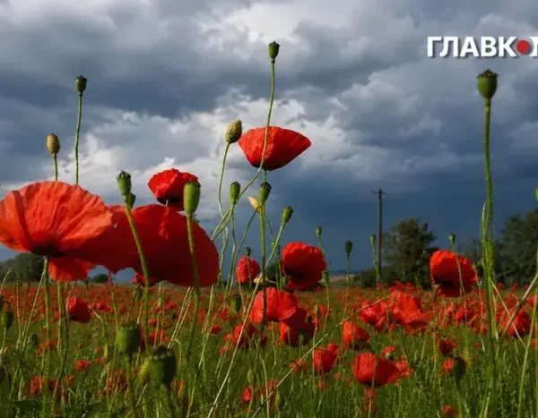 На Київщині та в столиці оголошено штормове попередження.