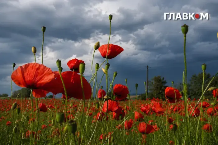 На Київщині та в столиці оголошено штормове попередження.