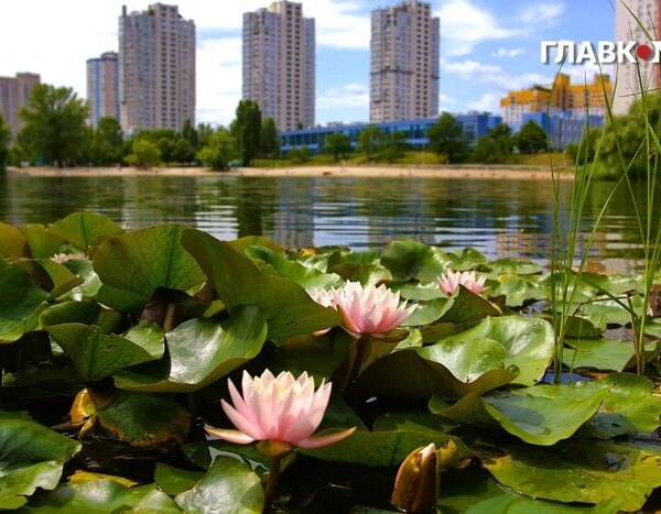 Літній відпочинок біля води в столиці. Місця для безпечного запливу&hellip;