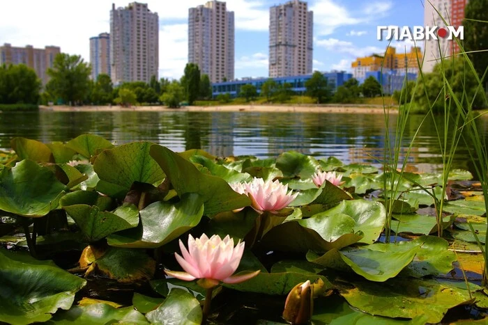 Літній відпочинок біля води в столиці. Місця для безпечного запливу&hellip;