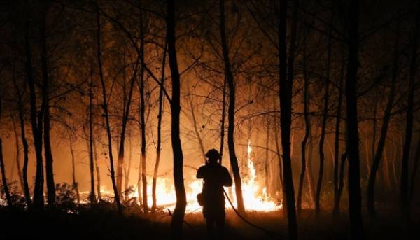 Українські пожежники завершили місію у Франції, де боролися з лісовими загоряннями