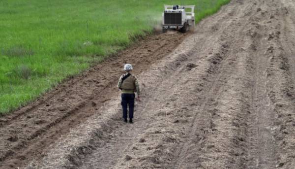 Головна 85 У липні в рамках програми компенсації було відведено 210 гектарів…
