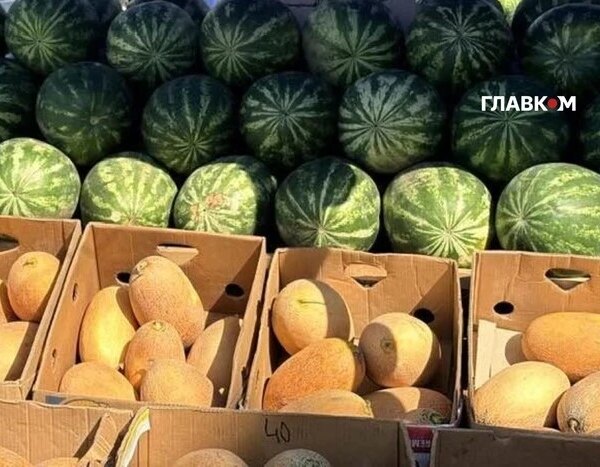 Де в Києві проведуть продуктові ярмарки 1-6 вересня (адреси)