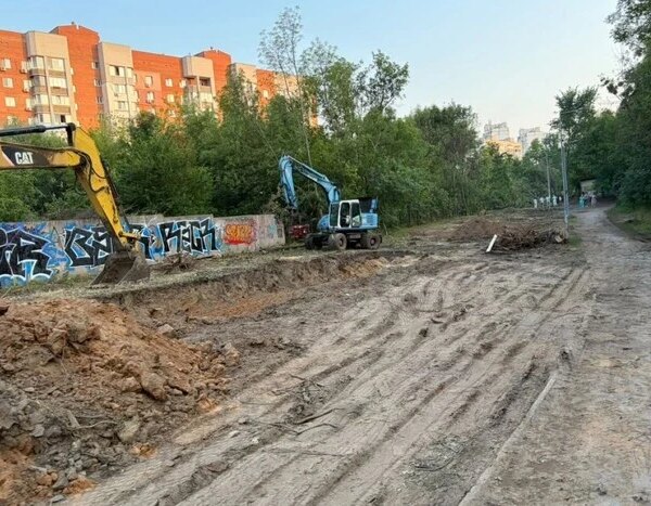 Видалення дерев для тепломережі на Теремках: фахівець окреслив інший підхід