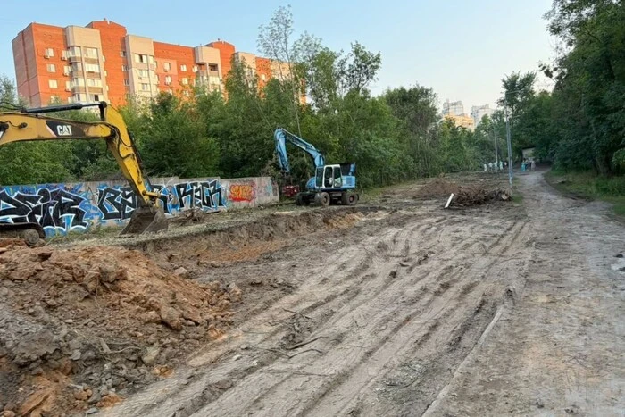 Вирубка дерев під тепломережу на Теремках: експерт запропонував альтернативне рішення