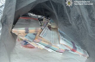 У столиці з помешкання літньої жінки зловмисники викрали близько 750 тисяч гривень 17