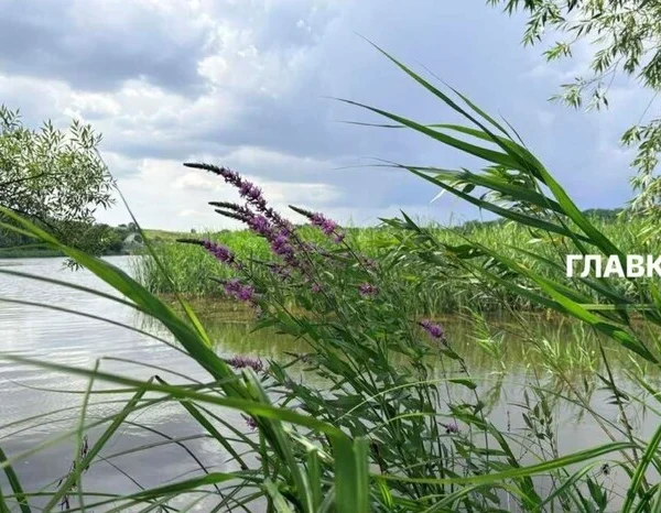 Гроза наближається до Києва та його околиць