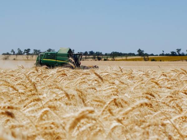 Уряд розширив терміни розрахунків для експортерів агропродукції