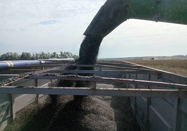 Tekom Agro Group зібрала соняшник: оцінено якість зерна з урожайністю до 26&hellip;