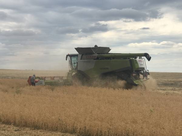 Розширено можливості для малого агробізнесу отримати важливий статус