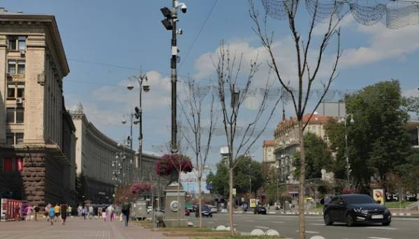 Щеплення врятують київські каштани від шкідників