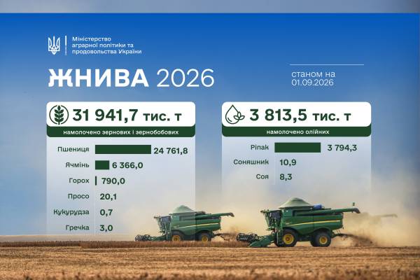Українські аграрії зібрали понад 32 мільйони тонн збіжжя 13