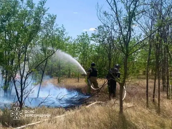Рятувальники ДСНС гасять пожежу сухої рослинності на Херсонщині, спричинену російськими обстрілами