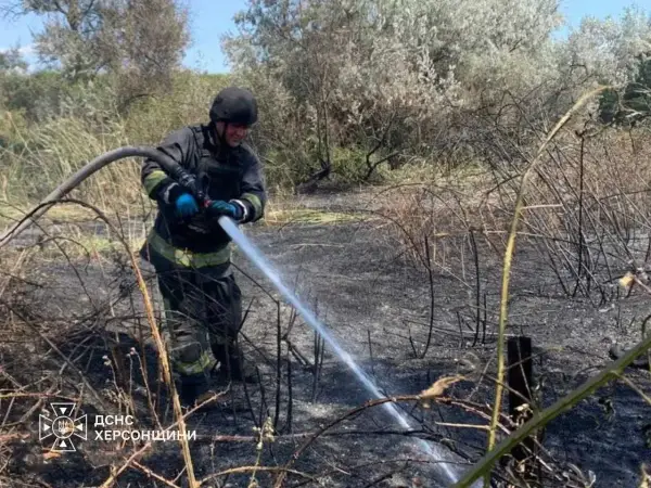 Рятувальники Херсонщини ліквідували три пожежі на загальній площі пів гектара