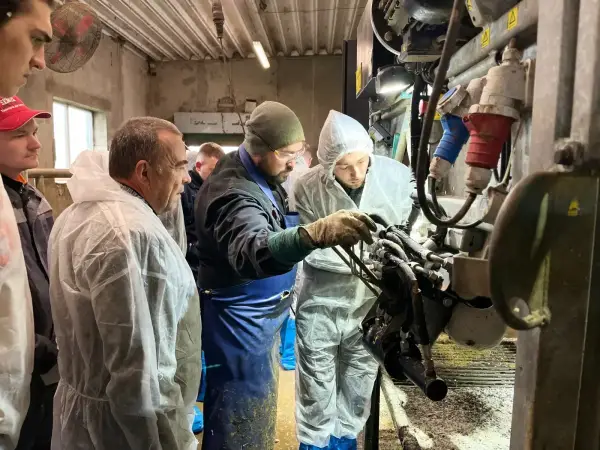Здоров’я копит: фермерів навчають боротися з кульгавістю корів